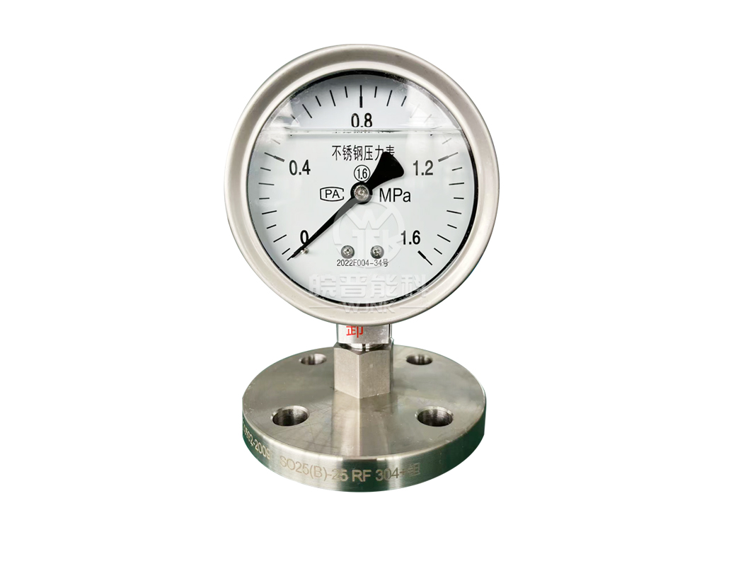 不锈钢隔膜压力表